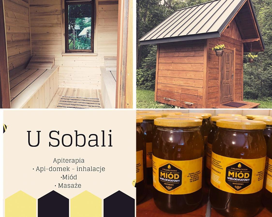 Villa U Sobali à Groń Extérieur photo